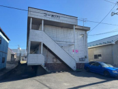 ꓏vAp[gQR[|PVP | ˌ