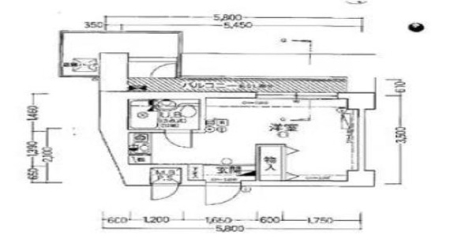 yԎz<br />}ʂƌقȂꍇ͌D悵܂B