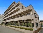 �����{���J�Éw�̓����}���V����