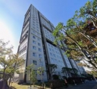 ��_�{�������w�̓����}���V����