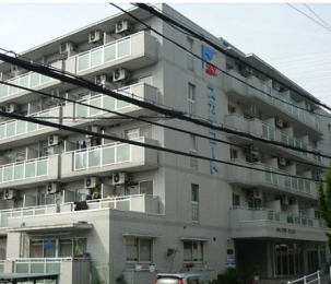 JR�d�A���엢�w�̓����}���V����