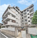 �O�c�������R�[�| | �����}���V����