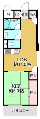 ����{���w�̓����}���V����