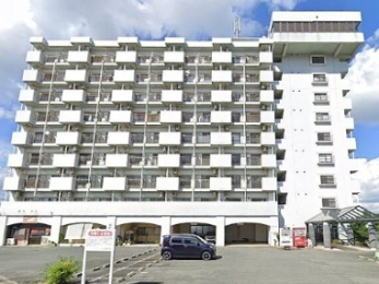 JR�R�������c����w�̓����}���V����