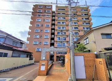 JR�k���{�������w�̓����}���V����