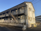 �h���t�~�T | �꓏����A�p�[�g