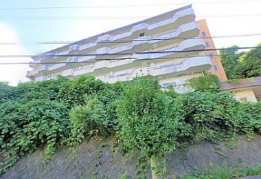 ����ΎR��{�����Éw�̓����}���V����