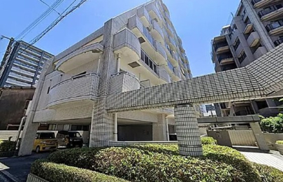 �F�{�d�C�S������{�O�w�̓����}���V����