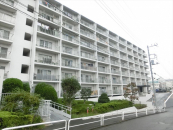 �ᓖ�Д����n�C�l�X��� | ����w �����}���V����