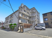 ������c���k��{�w�̓����}���V����