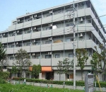 �����V�h���ԏ�����w�̓����}���V����