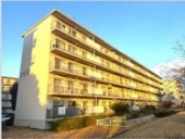 �k���S��������w�̓����}���V����