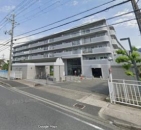 �ߓS������a���q�w�̓����}���V����