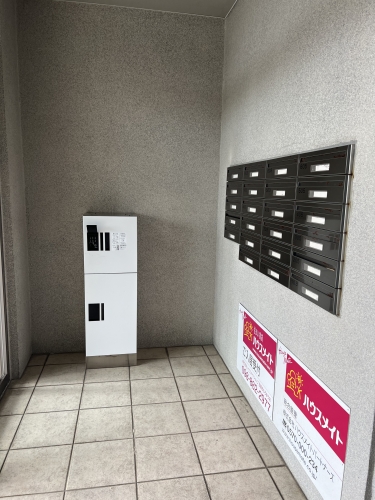 �y���̑��z<br />