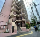 �s�c�O�c���V�������w�̓����}���V����