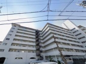 ��C����������w�̓����}���V����