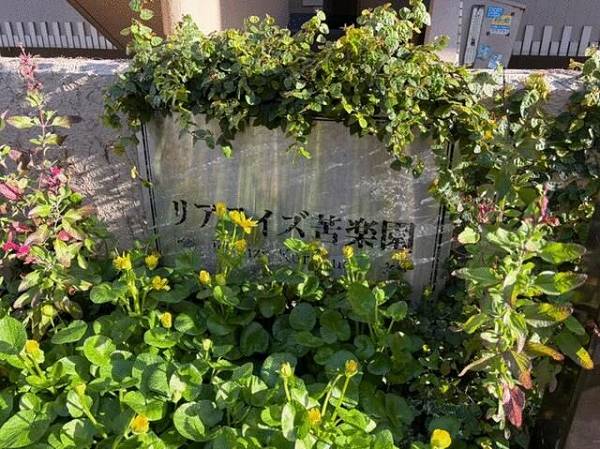 �y�Ԏ��z<br />